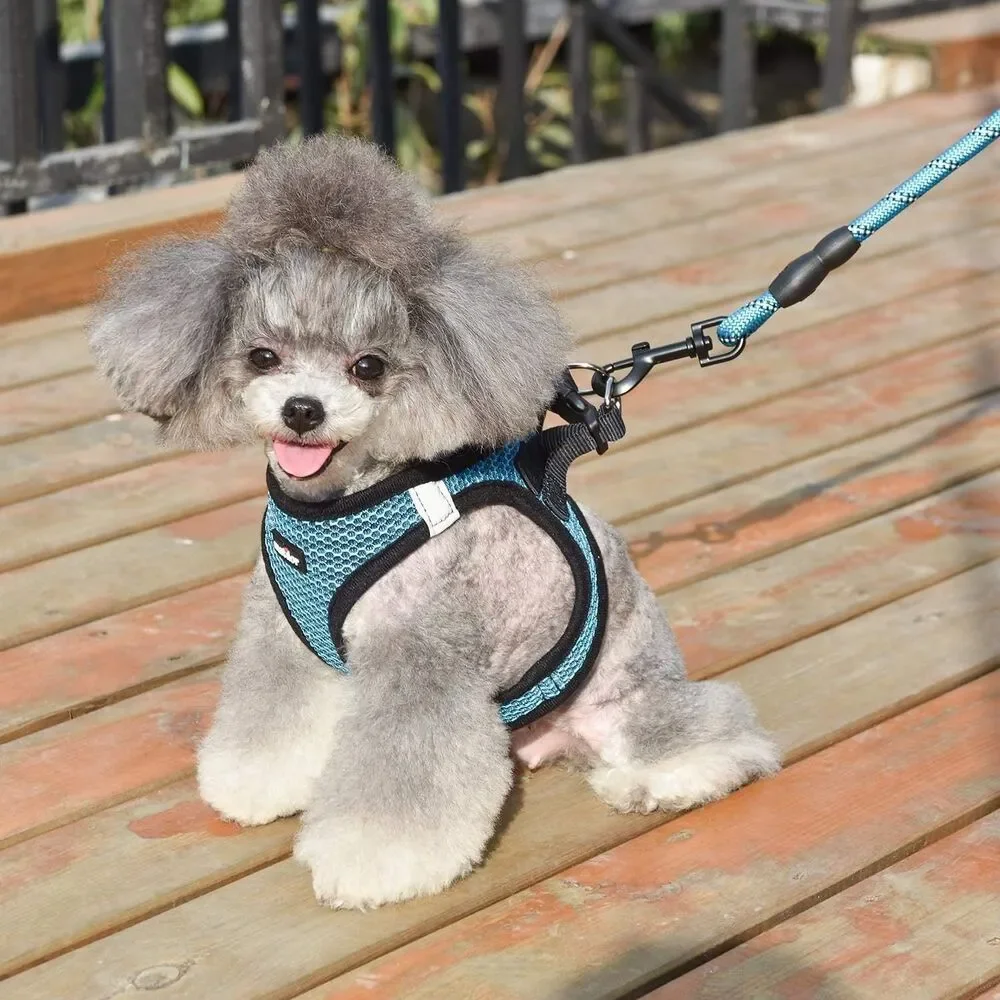 MatilorHarness Step-in Breathable Puppy Cat Dog Vest Harness - Blue